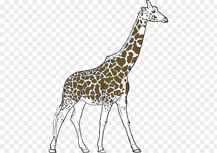 Animal Wildlife Cliparts Youre Avin A Giraffe Amazon.com Clip Art PNG