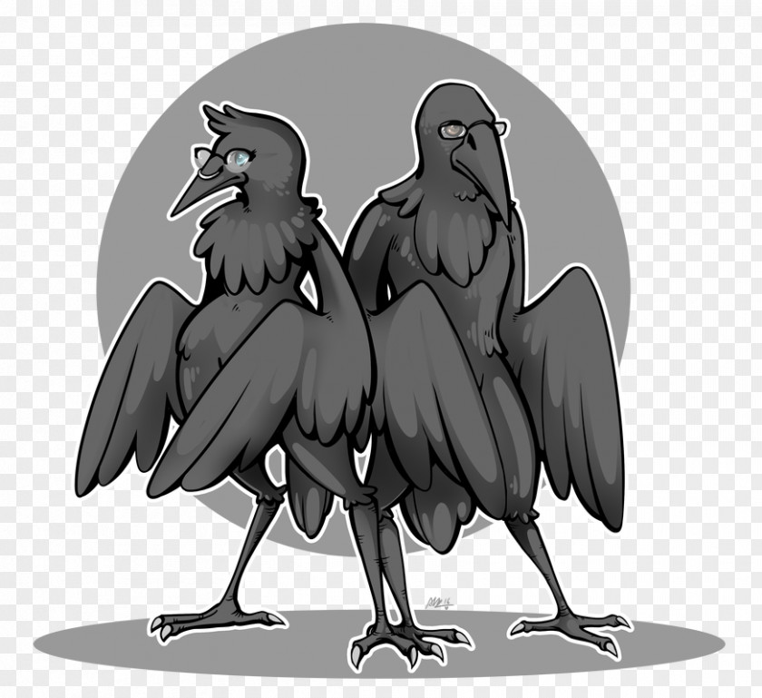 Bird Beak Of Prey Illustration Cartoon PNG