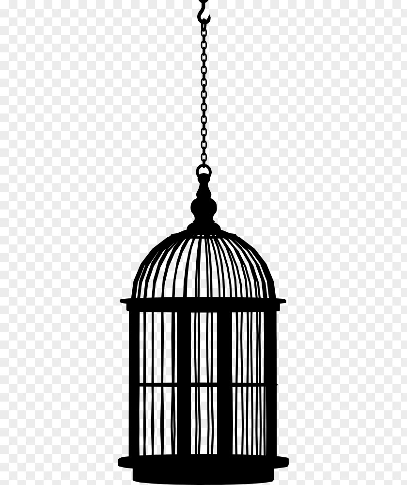 Bird Birdcage A Doll's House Clip Art PNG