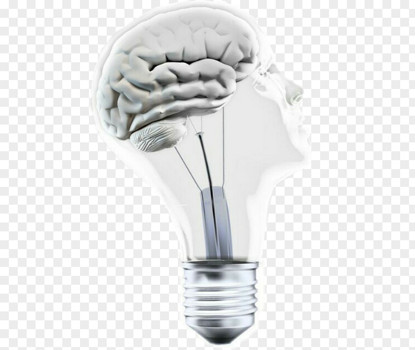 Brain Stock Photography Image Incandescent Light Bulb Illustration Royalty-free PNG