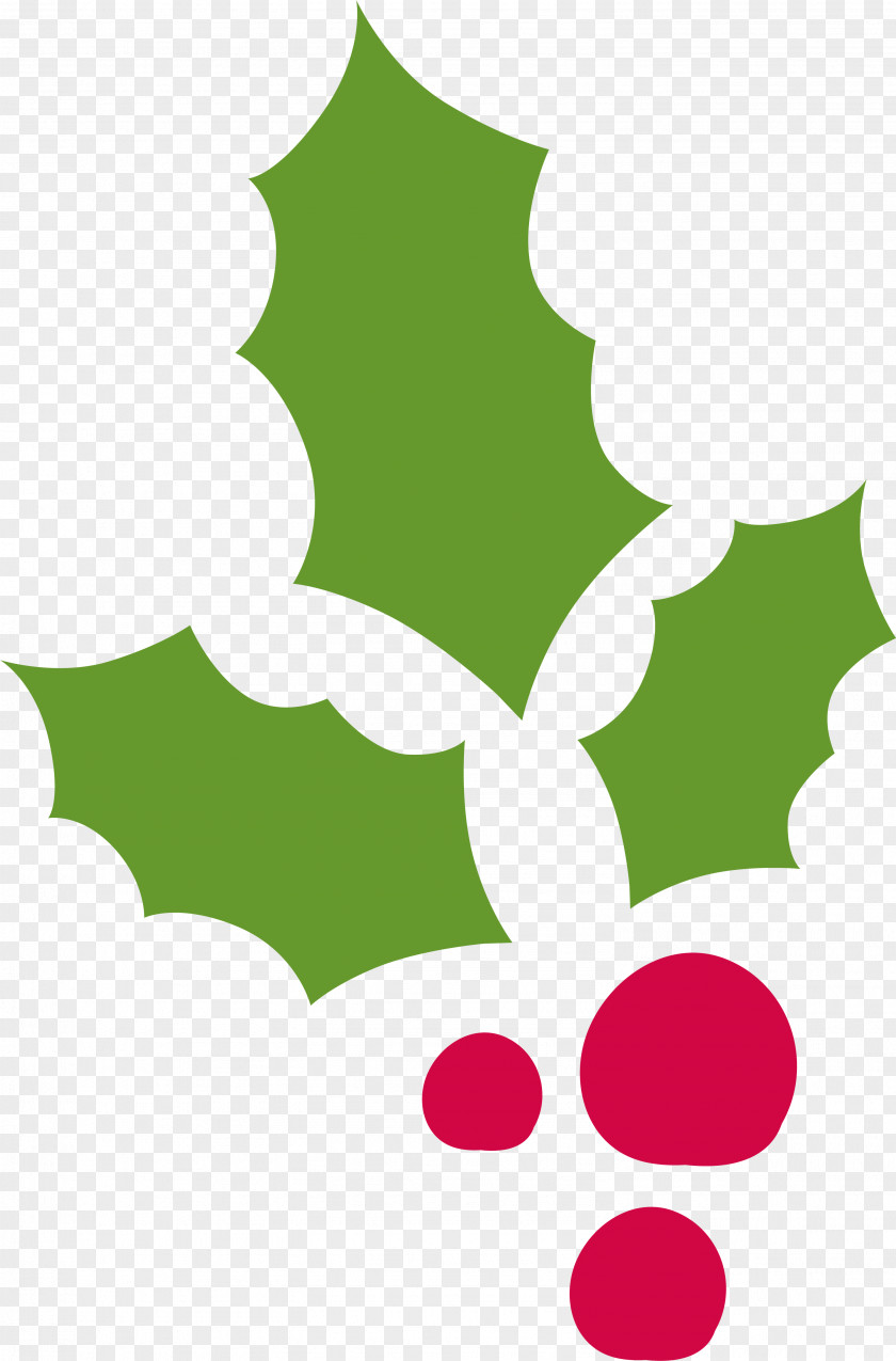 Holly Decorations For Christmas Common Decoration PNG