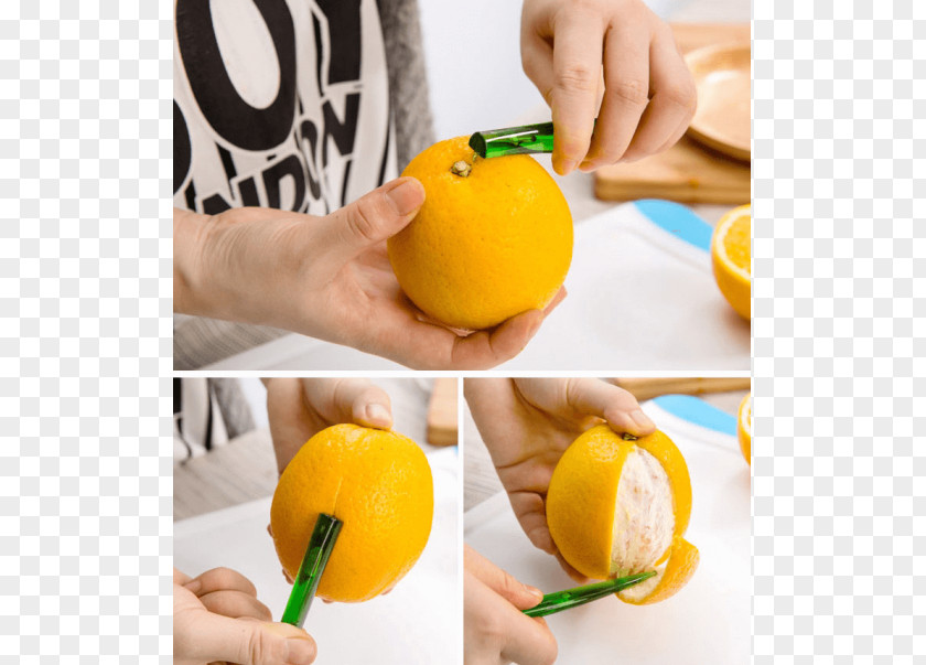 Lemon Squeezer Juicer Fruit PNG