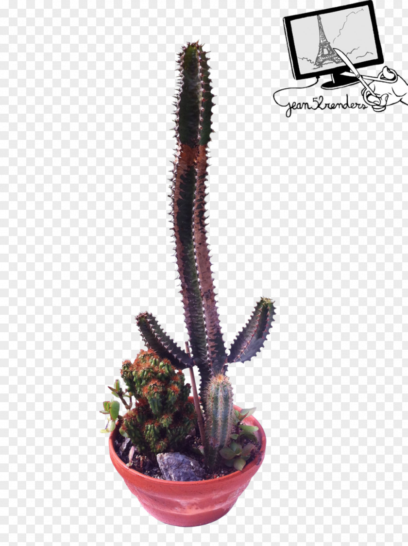 Plante Citroën Cactus M Flowerpot PNG