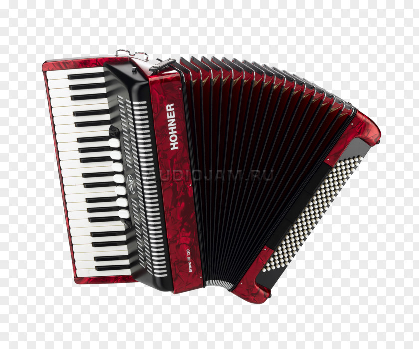 Accordion Chromatic Button Piano Diatonic Musical Instruments PNG