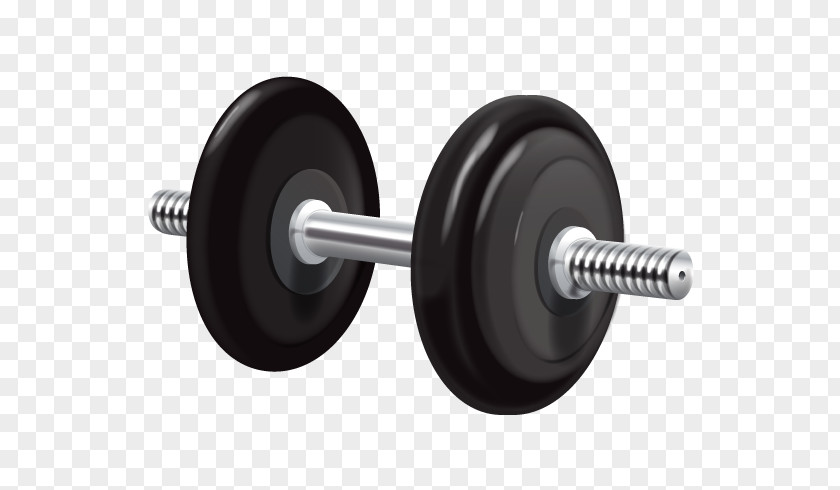 Dumbbell Weight Training Physical Exercise Fitness Centre PNG