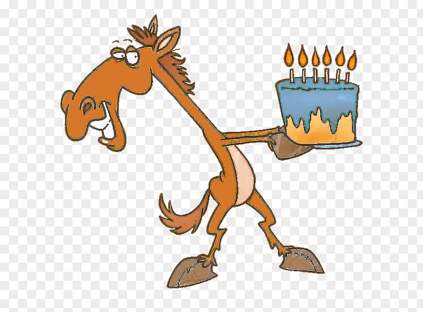 Horse Birthday Cake Greeting & Note Cards Equestrian PNG