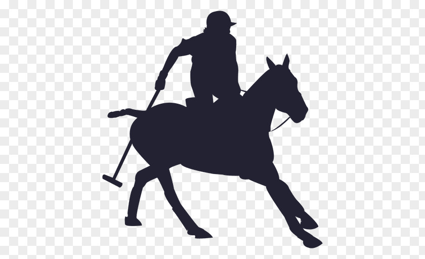 Horse Silhouette Rodeo PNG