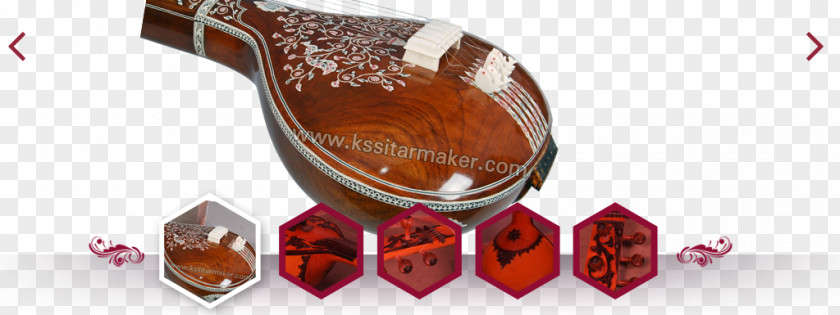 Indian Instruments Body Jewellery Tableware Guitar Human PNG