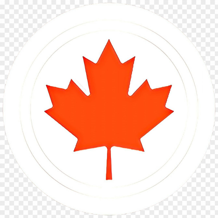 Logo Symbol Canada Maple Leaf PNG