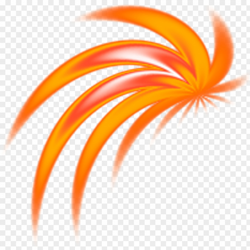 Phoenix Vector Desktop Wallpaper Computer Close-up Line PNG