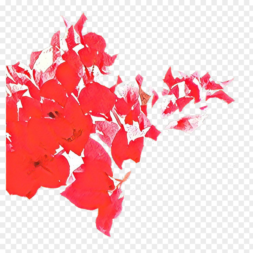 Red Petal Font Plant Flower PNG
