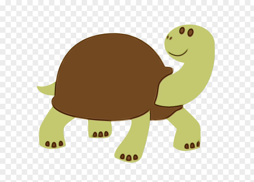 Tortoise Turtle Cartoon Reptile Animal Figure PNG