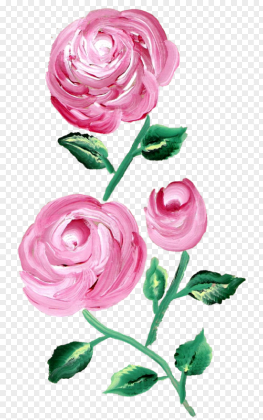 Chiffon Garden Roses Cut Flowers Centifolia Floral Design PNG