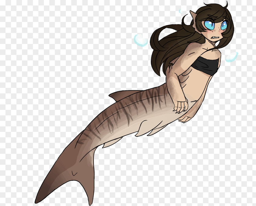 Ferocious Marine Mammal Mermaid Tail PNG