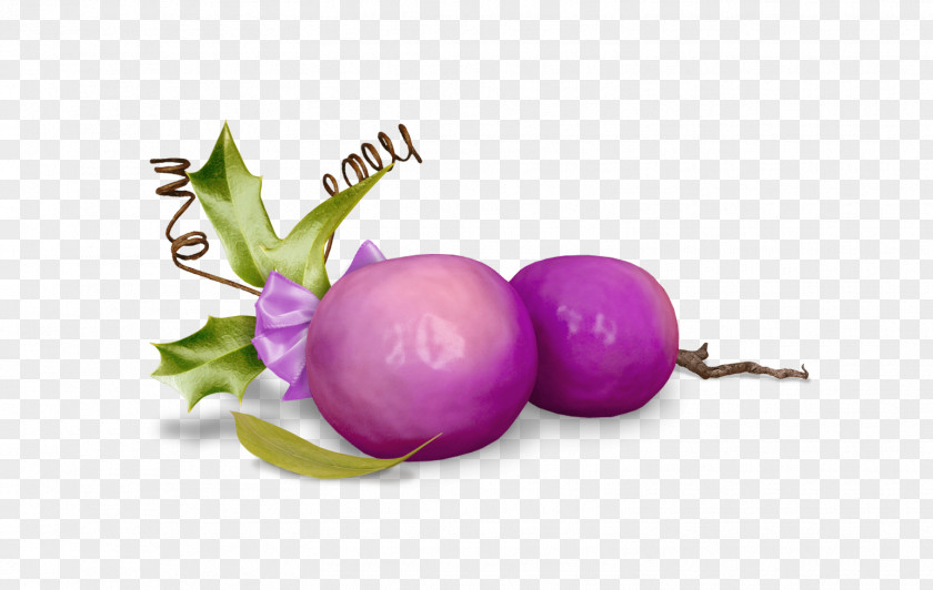 Frutos Turnip Fruit PNG