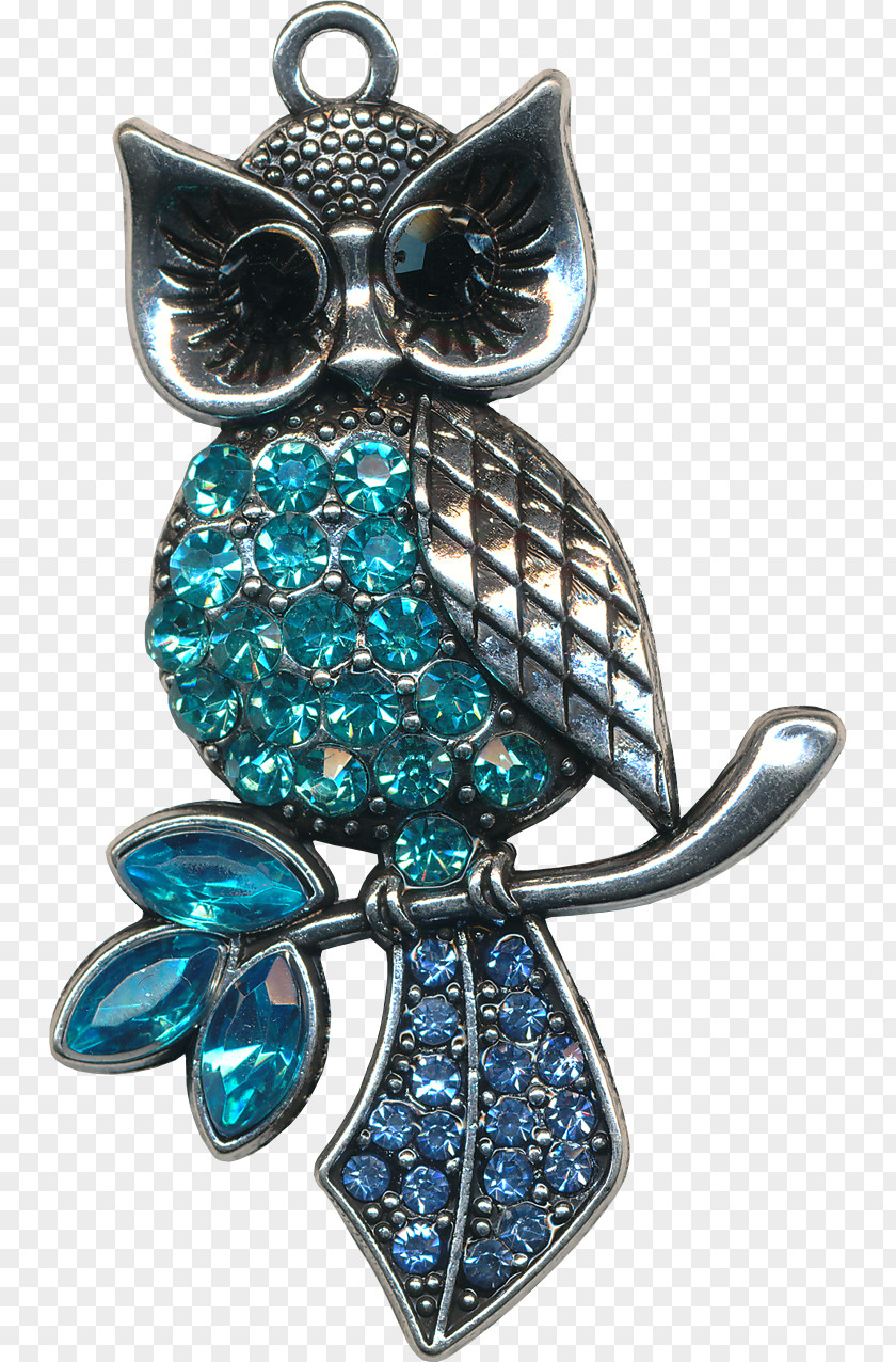 Owl Ornaments Ornament PNG