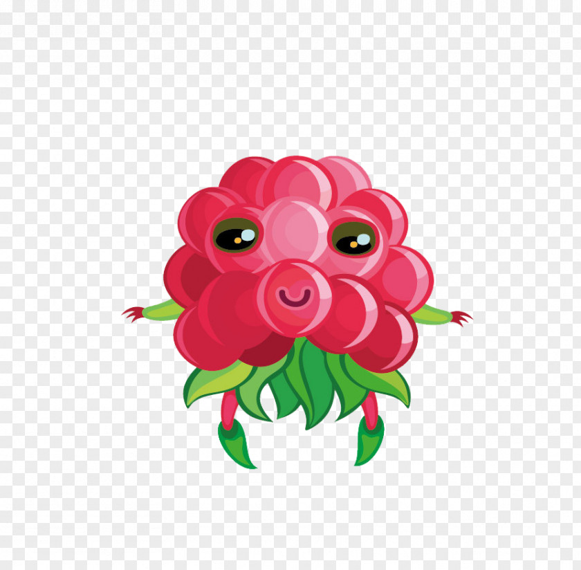 Raspberry Cartoon Auglis Illustration PNG