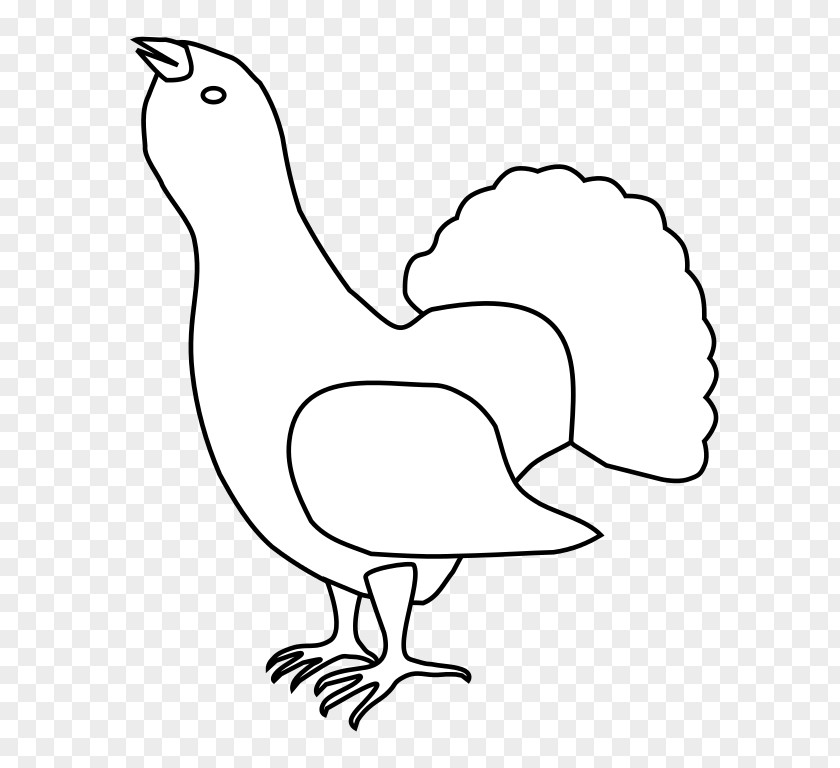 Rooster 4 November Addiction Clip Art PNG