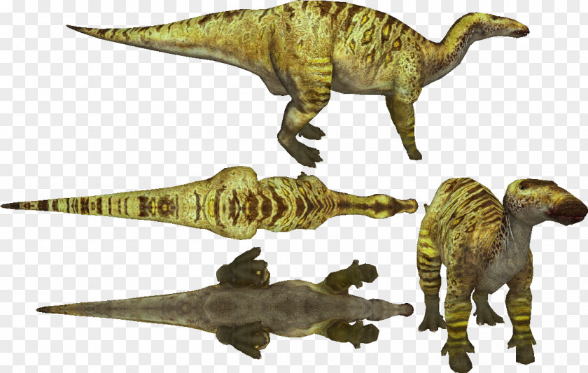 Tyrannosaurus Velociraptor Terrestrial Animal PNG