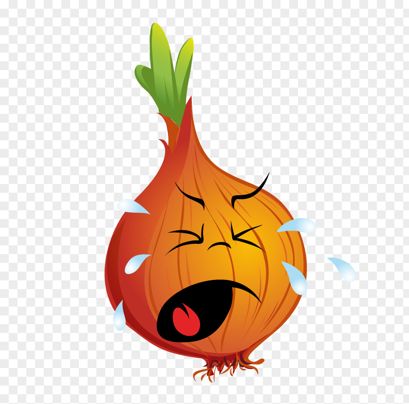Crying Onion Vegetable PNG