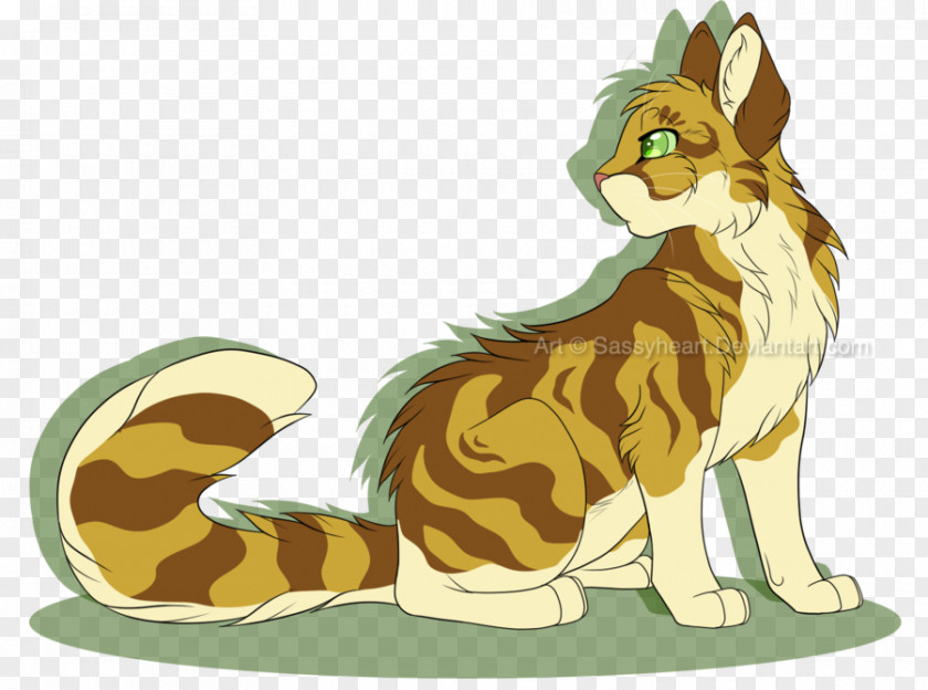 Cat Whiskers Warriors Into The Wild Drawing PNG