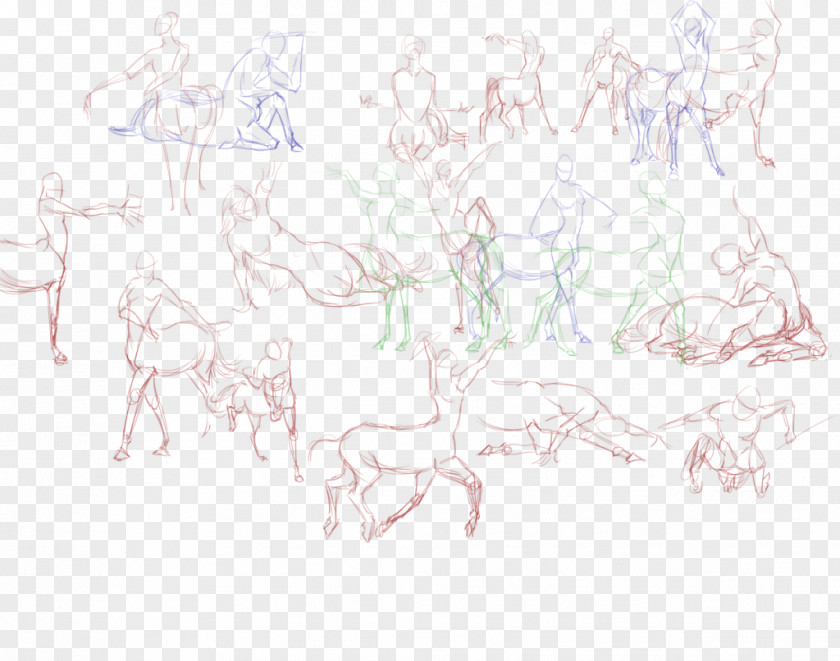 Centaur Sketch Horse Illustration Drawing PNG