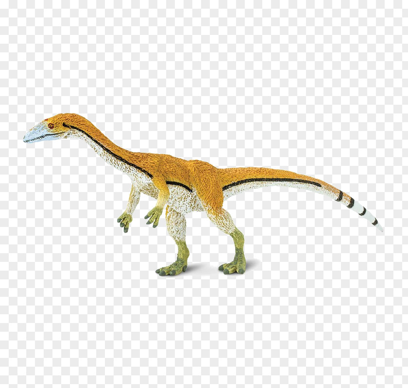 Dinosaur Velociraptor Coelophysis Giganotosaurus Spinosaurus Microraptor PNG