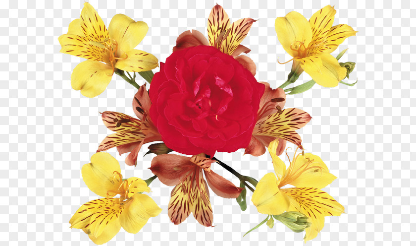 Flower Alstroemeriaceae Cut Flowers Floral Design Bouquet PNG