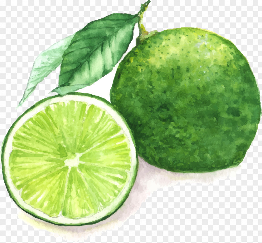Hand-painted Lemon Juice Watercolor Painting Lime PNG