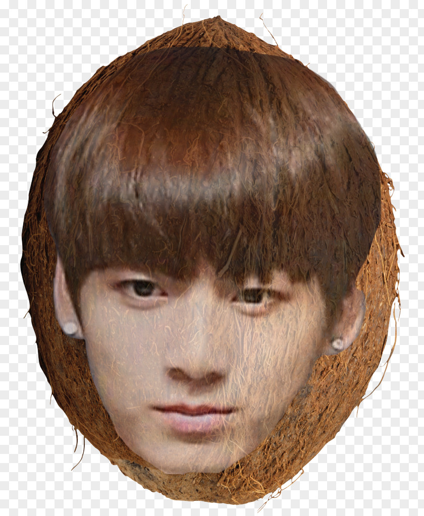 Coconut Jungkook Forehead Face Chin PNG
