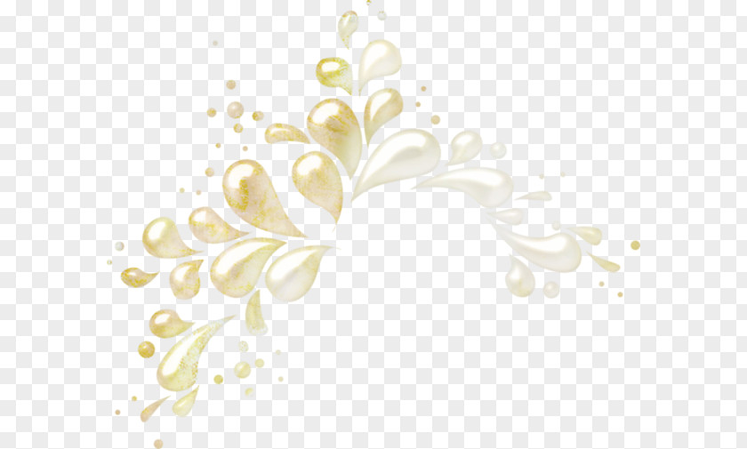 Design Desktop Wallpaper Petal Floral PNG