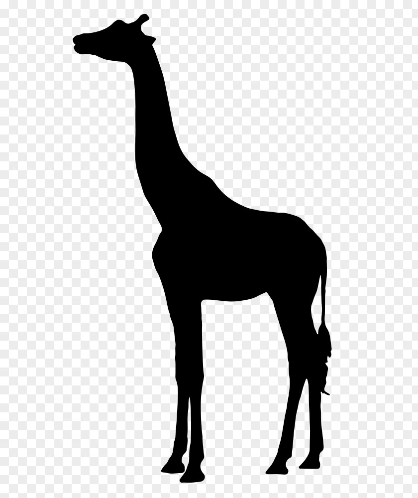 Giraffe Vector Silhouette West African Clip Art PNG