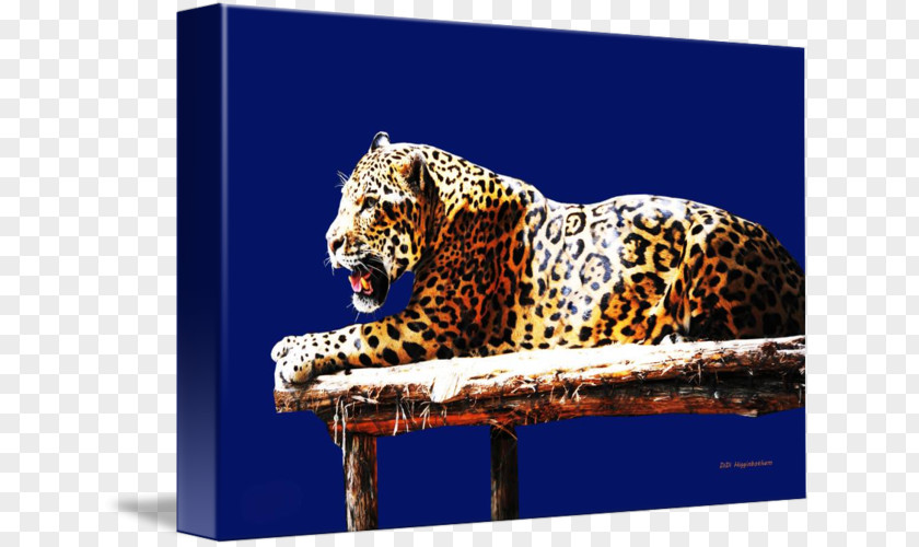 Leopard Jaguar God Tiger Wildlife PNG
