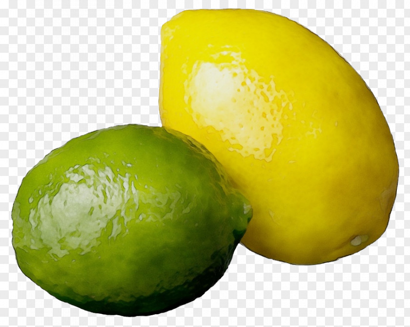 Yellow Lime Persian Fruit Lemon Sweet Citrus PNG