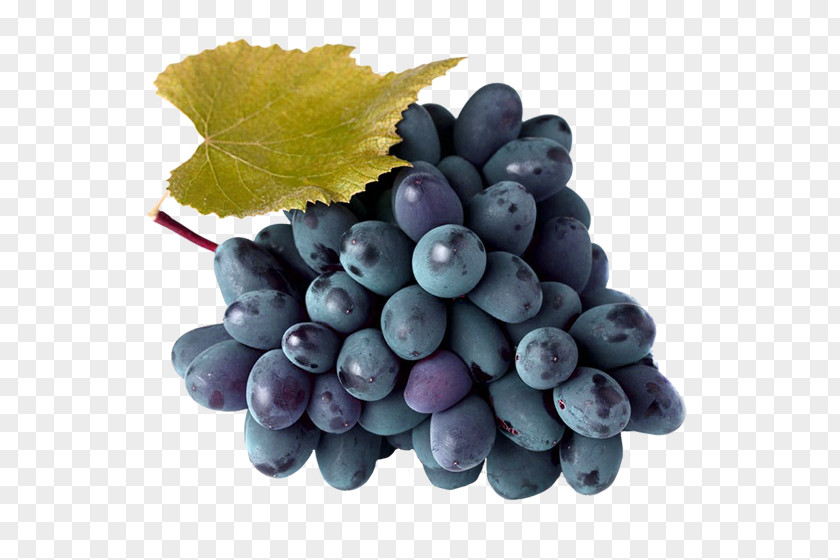 A Bunch Of Grapes Kyoho Isabella Berry Sultana Grape PNG