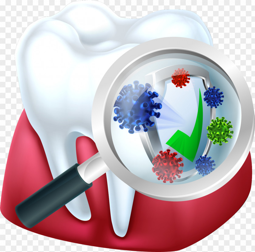 Dental Bacteria Human Tooth Decay PNG