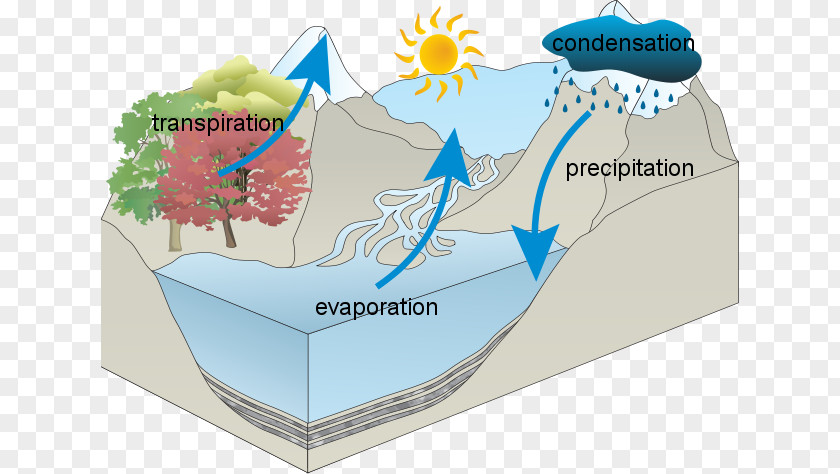 Diagram Water Cycle Resources National Secondary School PNG