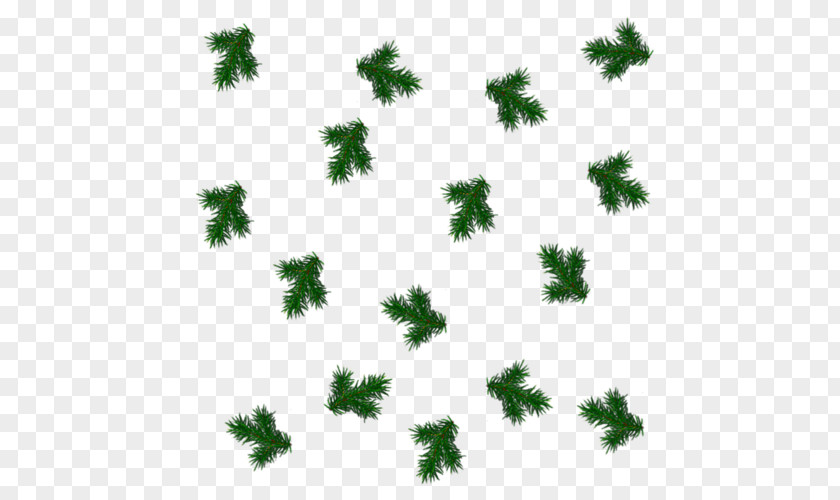 Line Green Branching Leaf PNG