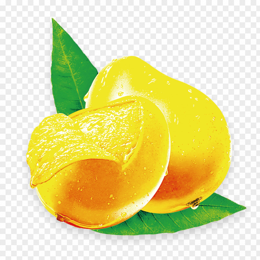 Vector Food Mango Juice Fruit Lemon PNG