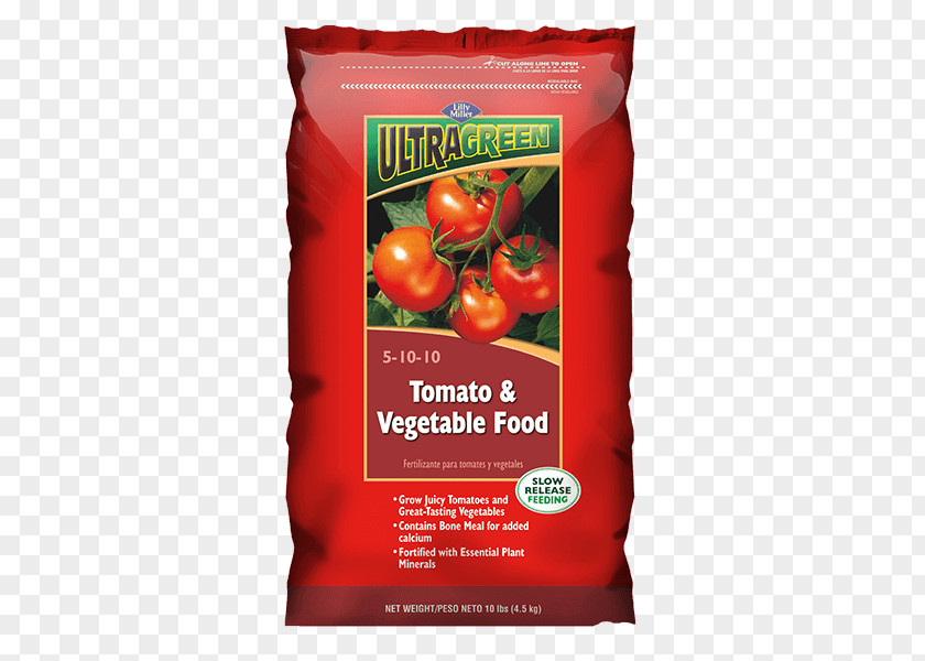 Vegetable Organic Food Tomato Natural Foods PNG