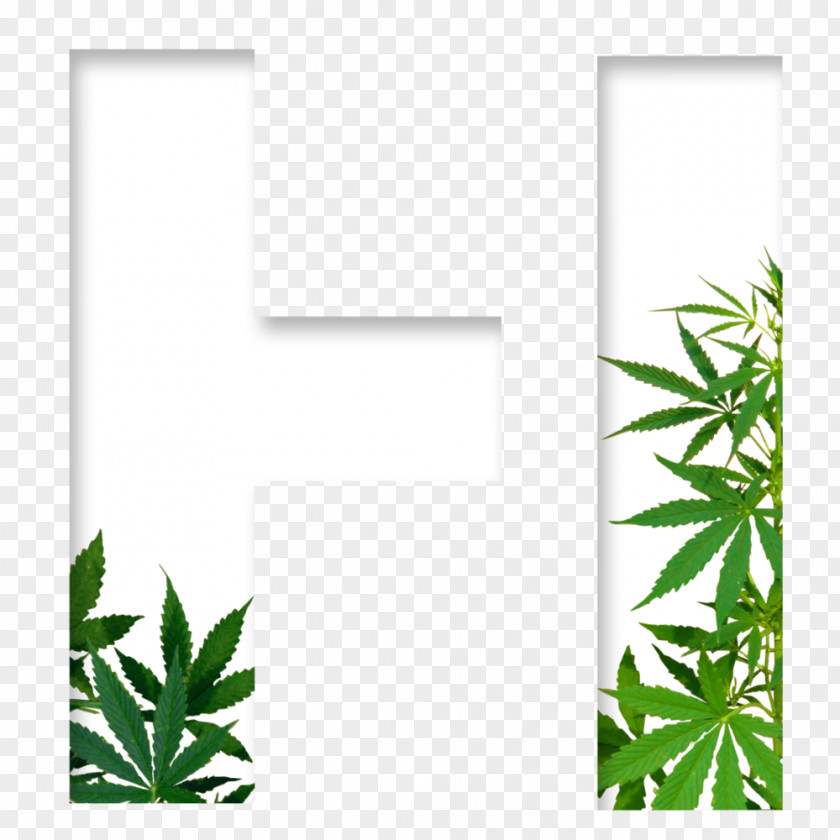 Cannabis Medical Sativa Dispensary PNG