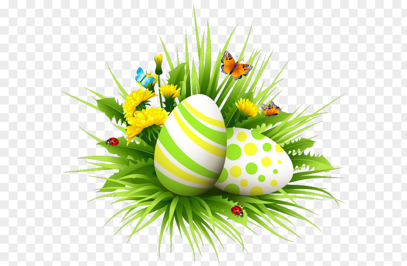 Easter Bunny Egg Clip Art PNG