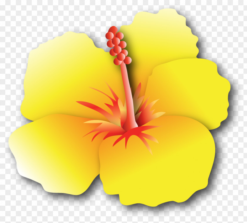 Hibiscus Pests Shoeblackplant Logo Decal Mallows Image PNG