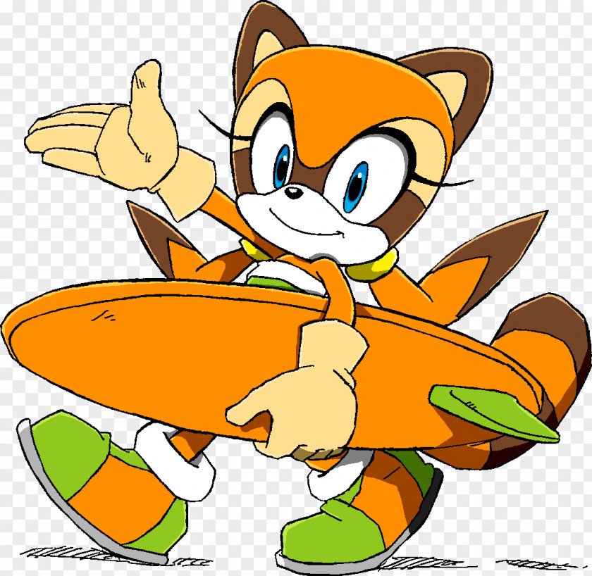 Sonic The Hedgehog Rouge Bat Tails Marine Raccoon PNG
