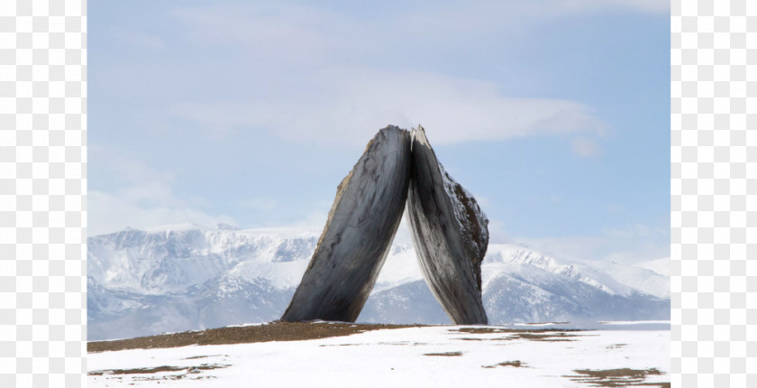 Tippet Rise Art Center Photography Beartooth Mountains Fishtail Landscape PNG