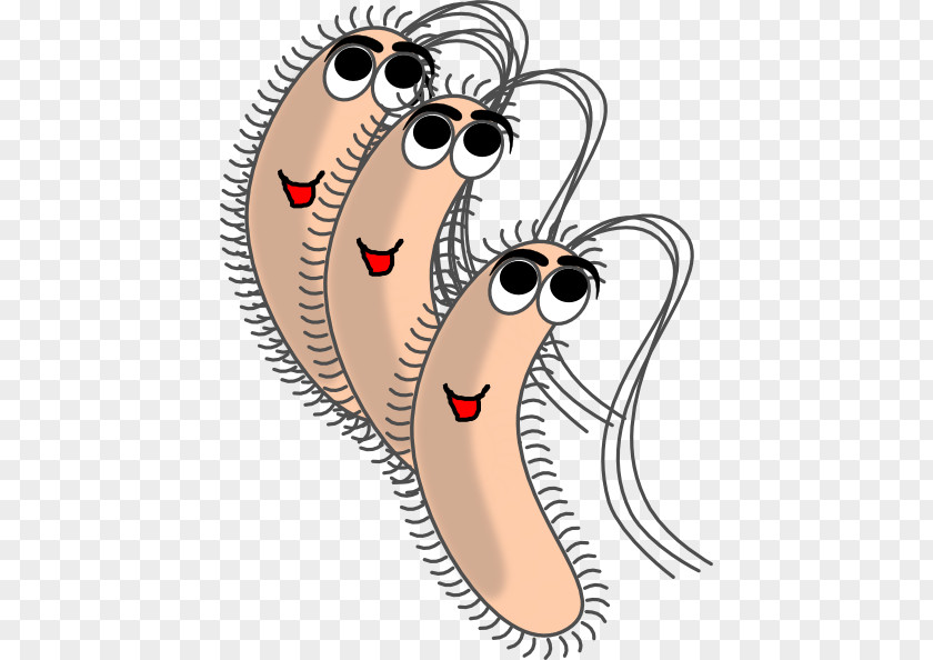 Bacteria Microorganism Clip Art PNG