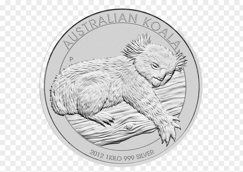 Beaver Bear Koala Cartoon PNG