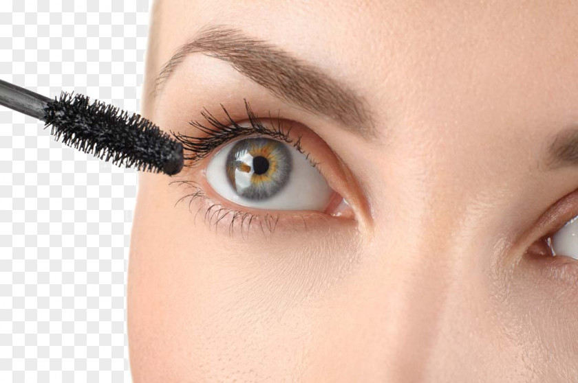 Long Eyelashes Eyelash Extensions Cosmetics Brush Mascara PNG