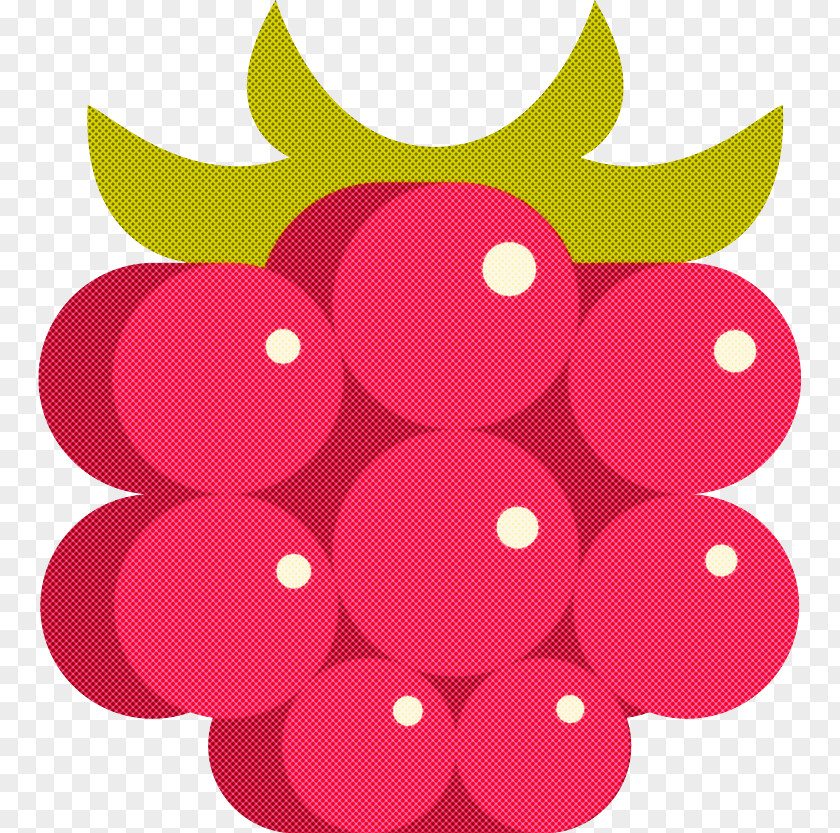 Seedless Fruit Grape Pink Red Magenta Circle PNG