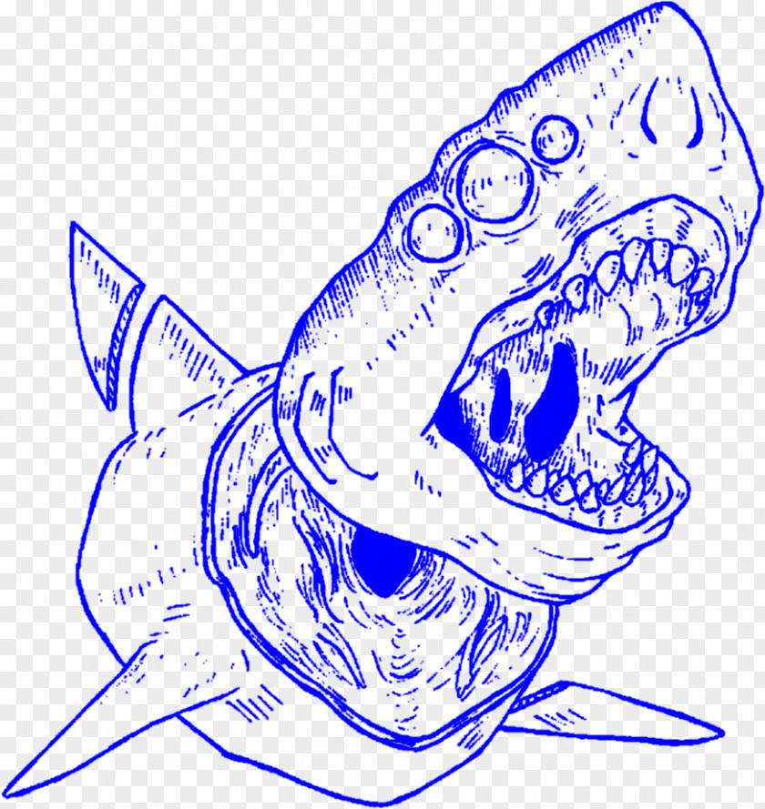 Shark Line Art Aesthetics Drawing PNG
